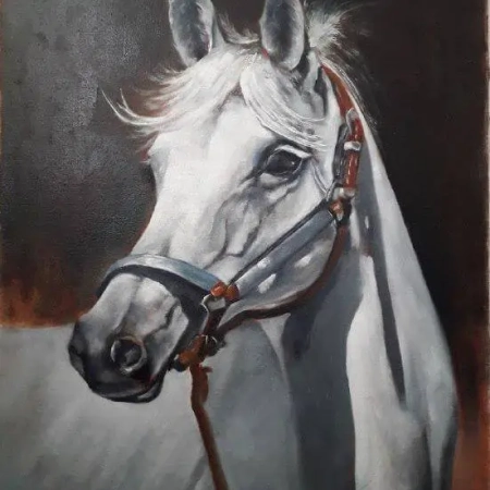 تابلو رنگ روغن اسب تنهای سفید